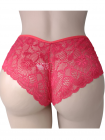 Calcinha Sexy Renda